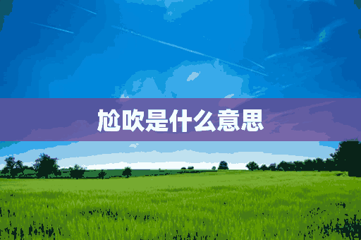 尬吹是什么意思